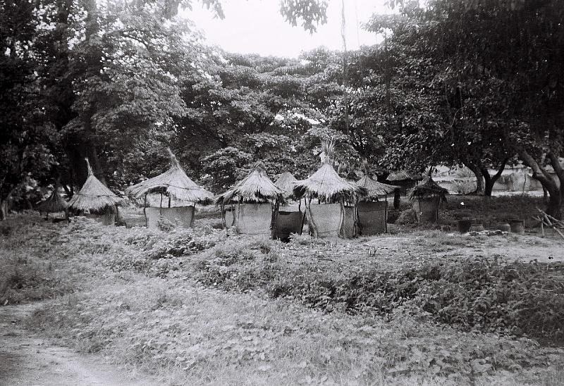 Thatched granaries standing among trees, photographed in black and white.
